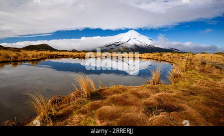 Mt. Taranaki Reflexion im Pouakai Pool, Neuseeland Stockfoto