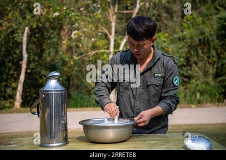 220316 -- XISHUANGBANNA, 16. März 2022 -- Xu Yunfeng, ein Naturschützer, bereitet Nahrung für den asiatischen Elefanten Longlong im Asian Elephant Breeding and Rescue Center in der Autonomen Präfektur Xishuangbanna Dai, Provinz Yunnan im Südwesten Chinas, 15. März 2022 zu. Ein Elefantenbaby in Xishuangbanna wurde von seiner Herde nur etwa zwei Monate nach seiner Geburt wegen schwerer Beinverletzungen im Juli 2021 verlassen. Der Elefant wurde gerettet und zur Behandlung in das Asian Elephant Breeding and Rescue Center in Xishuangbanna geschickt. Unter dem Schutz der Wildtiere Stockfoto