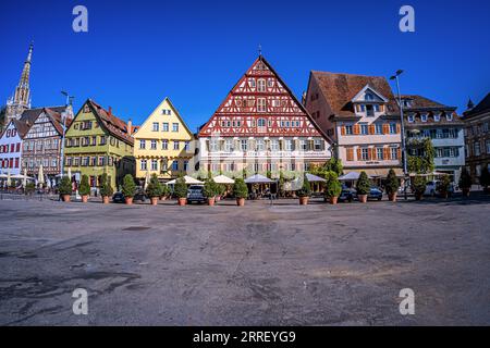 BADEN-WÜRTTEMBERG : ESSLINGEN AM NECKAR - MARKTPLATZ MIT FRAUENKIRCHE Stockfoto