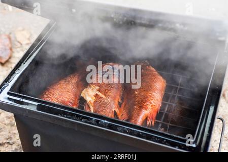 Geräucherter Fisch in einer Räucherdose. Stockfoto