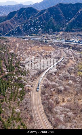 220402 -- PEKING, 2. April 2022 -- auf diesem Luftbild fährt ein Vorortzug zwischen blühenden Blumen in der Nähe des Juyongguan-Abschnitts der Chinesischen Mauer in Peking, Hauptstadt von China, 2. April 2022. CHINA-PEKING-S-BAHN-LANDSCHAFT CN CHENXZHONGHAO PUBLICATIONXNOTXINXCHN Stockfoto