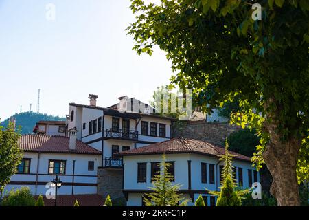 Blick auf Goynuk mit Bäumen und traditionellen Häusern. Cittaslow-Städte von Turkiye. Stockfoto