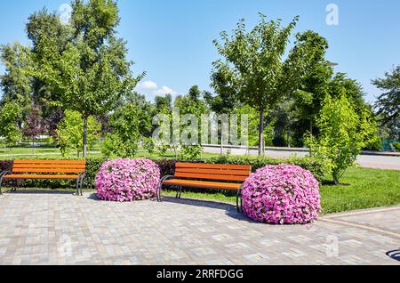 Ruhebereich mit Bank umgeben von blühenden Petunien Blumen in Kiew, Europa. Ein Ort zum Ausruhen im Stadtpark Stockfoto