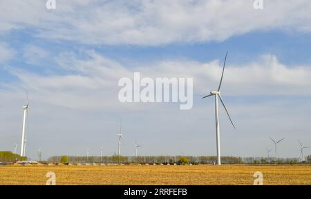 220414 -- TIANJIN, 14. April 2022 -- Foto aufgenommen am 13. April 2022 zeigt einen Windpark in Binhai New Area, nordchinesisches Tianjin. Die installierte Gesamtkapazität der Windparks in Tianjin beträgt bis Ende Februar dieses Jahres 1,296 Millionen Kilowatt. CHINA-TIANJIN-WINDKRAFT CN SunxFanyue PUBLICATIONxNOTxINxCHN Stockfoto