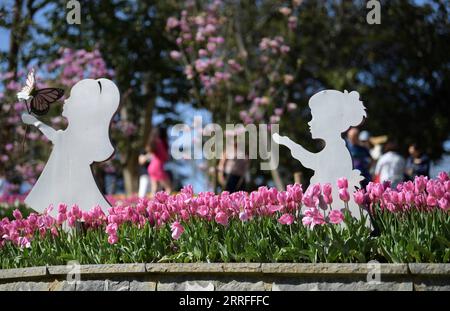 220416 -- ISTANBUL, 16. April 2022 -- Foto aufgenommen am 15. April 2022 zeigt Tulpen in einem Park in Istanbul, Türkei. Shadati TÜRKEI-ISTANBUL-TULPEN ShaxDati PUBLICATIONxNOTxINxCHN Stockfoto