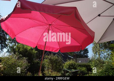 Unter zwei Sonnenschirmen, Sonnenschirme in einem niederländischen Garten an einem sonnigen Tag. Spätsommer September, Niederlande. Stockfoto