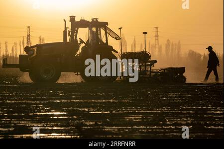 220422 -- SHAWAN, 22. April 2022 -- Arbeiter betreiben eine Sämaschine in Ili Mehmets Baumwollfeld in Shawan, Nordwestchina, Xinjiang Uygur Autonomous Region, 16. April 2022. Ili Mehmet, 50, lebt in Shawan, einem großen Baumwollanbaugebiet in Xinjiang. Während der Aussaat im Frühjahr wurden die landwirtschaftlichen Arbeiten hauptsächlich von gemieteten, mechanisierten Pflanzteams durchgeführt. Aber Ili Mehmet verbringt seine Freizeit immer noch auf dem 700 Millionen 46,7 Hektar großen Baumwollfeld, das er mit seinem Geschäftspartner Duan Zhizhong in Auftrag gegeben hat, und lernt von anderen neue Pflanztechniken. Neben der Arbeit auf den Baumwollfeldern nimmt er auch ca. Stockfoto