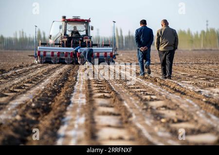 220422 -- SHAWAN, 22. April 2022 -- Ili Mehmet 2nd, R diskutiert Aussaatpläne mit Duan Zhizhong, während Arbeiter einen Sämann in seinem Baumwollfeld in Shawan, Nordwestchinas autonomer Region Xinjiang Uygur, am 16. April 2022 betreiben. Ili Mehmet, 50, lebt in Shawan, einem großen Baumwollanbaugebiet in Xinjiang. Während der Aussaat im Frühjahr wurden die landwirtschaftlichen Arbeiten hauptsächlich von gemieteten, mechanisierten Pflanzteams durchgeführt. Aber Ili Mehmet verbringt seine Freizeit immer noch auf dem 700 Millionen 46,7 Hektar großen Baumwollfeld, das er mit seinem Geschäftspartner Duan Zhizhong in Auftrag gegeben hat, und lernt von anderen neue Pflanztechniken. Stockfoto