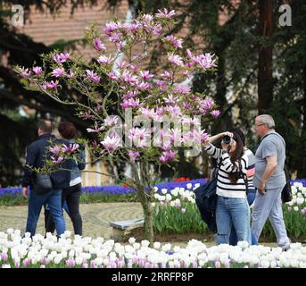 220423 -- ISTANBUL, 23. April 2022 -- Menschen besuchen den Emirgan Park in Istanbul, Türkei, 22. April 2022. Shadati TURKEY-ISTANBUL-PARK ShaxDati PUBLICATIONxNOTxINxCHN Stockfoto