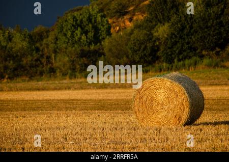 Sturm über Getreidefeld, Strohballen auf Getreidefeld im Sonnenuntergang Stockfoto