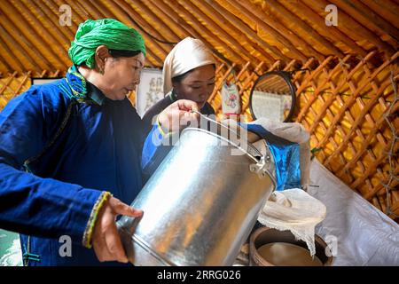 220501 -- HOHHOT, 1. Mai 2022 -- Tao Gao L und Altenzagas produzieren Milchprodukte in Zhenglan Banner der Xilingol League, Nordchinas Innere Mongolei Autonome Region, 27. April 2022. Tao Gao ist der nationale immaterielle Erbe des Milchprodukts Chagaanyidee in der Inneren Mongolei. Sie kombiniert moderne Techniken mit traditionellem Handwerk und bildet Hirten in pastoralen Gebieten aus, um Milchprodukte herzustellen. In den letzten Jahren hat die lokale Regierung die Entwicklung der traditionellen Milchindustrie gefördert, um das Einkommen der Hirten zu erhöhen. Der durchschnittliche Jahresumsatz von Milchprodukten im gesamten Banner erreichte ungefähr Stockfoto