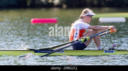 BELGRAD - 08/09/2023, BELGRAD - Karolien Florijn im Halbfinale im Einzelskiff am sechsten Tag der Ruderweltmeisterschaft in der serbischen Hauptstadt Belgrad. ANP IRIS VAN DEN BROEK netherlands Out - belgium Out Credit: ANP/Alamy Live News Stockfoto