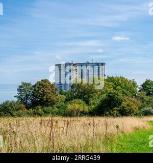 Wohnhaus zwischen Büschen in der Nähe von Rotterdam, Niederlande Stockfoto