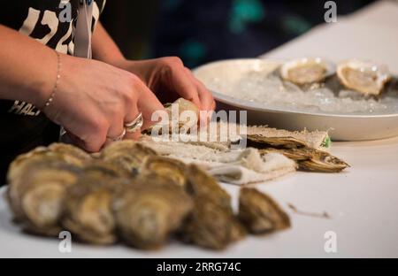 220511 -- TORONTO, 11. Mai 2022 -- ein Austern-Shucker tritt während des John Bil Oyster Shucking Competition auf der 2022 Restaurants Canada Show in Toronto, Kanada, am 11. Mai 2022 an. Einige der schnellsten Austern-shuckers in Nordamerika nahmen am Mittwoch an diesem Wettbewerb Teil, um ihre Fähigkeiten zu präsentieren. Foto von /Xinhua CANADA-TORONTO-OYSTER SHUCKING COMPETITION ZouxZheng PUBLICATIONxNOTxINxCHN Stockfoto