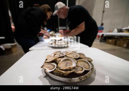 220511 -- TORONTO, 11. Mai 2022 -- Richter überprüfen Austern, nachdem sie während des John Bil Oyster Shuckwettbewerbs auf der 2022 Restaurants Canada Show in Toronto, Kanada, am 11. Mai 2022 ausgehändigt wurden. Einige der schnellsten Austern-shuckers in Nordamerika nahmen am Mittwoch an diesem Wettbewerb Teil, um ihre Fähigkeiten zu präsentieren. Foto von /Xinhua CANADA-TORONTO-OYSTER SHUCKING COMPETITION ZouxZheng PUBLICATIONxNOTxINxCHN Stockfoto