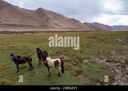 220513 -- MOUNT QOMOLANGMA BASE CAMP, 13. Mai 2022 -- Luftaufnahme vom 11. Mai 2022 zeigt Feuchtgebiete im Qomolangma National Nature Reserve in der Township Zhaxizom im Tingri County im Südwesten Chinas Autonome Region Tibet. CHINA-TIBET-ZHAXIZOM-LANDSCHAFT CN SunxFei PUBLICATIONxNOTxINxCHN Stockfoto