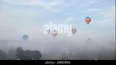 Heißluftballons schweben bei Sonnenaufgang über der nebeligen Landschaft mit Bäumen und klarem Himmel Stockfoto