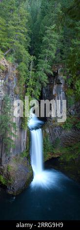 Toketee Falls am North Umpqua River im Zentrum von Oregon, USA. Stockfoto