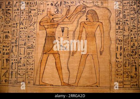 220515 -- KAIRO, 15. Mai 2022 -- Foto aufgenommen am 14. Mai 2022 zeigt ein von Gott Anubis bemaltes Papyrusgemälde im Ägyptischen Museum in Kairo, Ägypten. Als Begräbnisgottheit wird Anubis mit Mumifizierung, Begräbnisritualen und dem Friedhof im alten ägyptischen Mythos in Verbindung gebracht, der normalerweise als schwarzer Hund oder ein Mann mit Hundekopf dargestellt wird. Es ist in einer großen Anzahl von pharaonischen Antiquitäten im weltbekannten Ägyptischen Museum zu finden. ÄGYPTEN-KAIRO-ÄGYPTISCHES MUSEUM-ANUBIS SuixXiankai PUBLICATIONxNOTxINxCHN Stockfoto