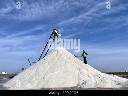 220517 -- ZHANHUA, 17. Mai 2022 -- Arbeiter ernten Salz in einem Salzfeld in der Binhai Township, Bezirk Zhanhua, Binzhou Stadt der ostchinesischen Provinz Shandong, 14. Mai 2022. CHINA-SHANDONG-ZHANHUA-SALZERNTE CN FANXCHANGGUO PUBLICATIONXNOTXINXCHN Stockfoto