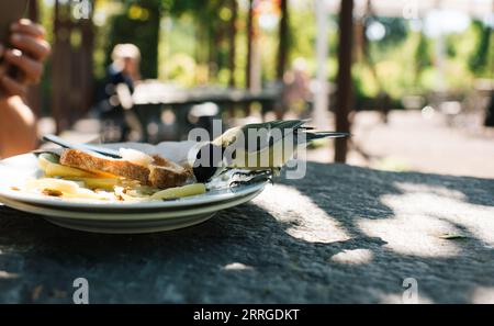 Vögel essen von einem fertigen Teller Essen in einem Restaurant draußen Stockfoto