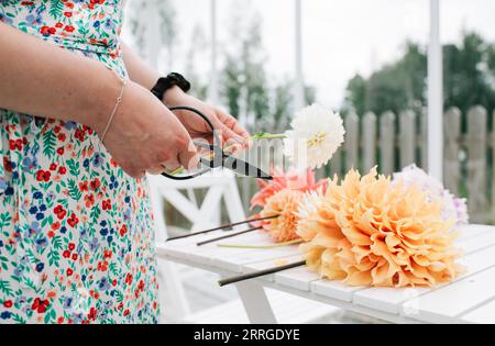 Die Frau, die Dahlia schneidet, ist zu Hause in ihrem Gewächshaus Stockfoto