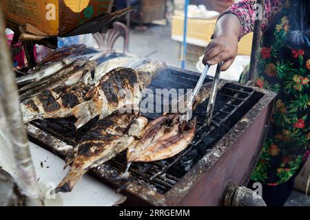 Mit Salz verkrusteter gegrillter Tilapia-Fisch auf heißem Herd Stockfoto
