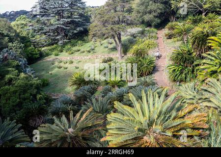 220522 -- KAPSTADT, 22. Mai 2022 -- Foto aufgenommen am 22. Mai 2022 zeigt einen Blick auf den Kirstenbosch National Botanical Garden in Kapstadt, Südafrika. ZUM Interview: Südafrika, das reich an biologischer Vielfalt ist, China hat viel zu teilen in diesem Sektor: Naturschützer SÜDAFRIKA-KAPSTADT-BIODIVERSITÄT LyuxTianran PUBLICATIONxNOTxINxCHN Stockfoto