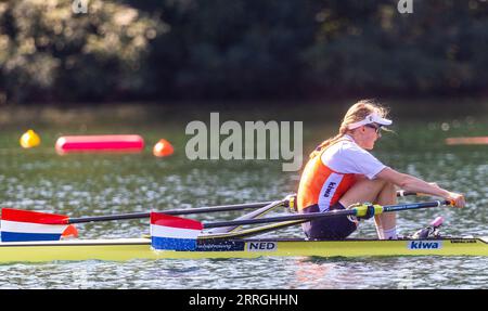 BELGRAD - 08/09/2023, BELGRAD - Karolien Florijn im Halbfinale im Einzelskiff am sechsten Tag der Ruderweltmeisterschaft in der serbischen Hauptstadt Belgrad. ANP IRIS VAN DEN BROEK netherlands Out - belgium Out Credit: ANP/Alamy Live News Stockfoto