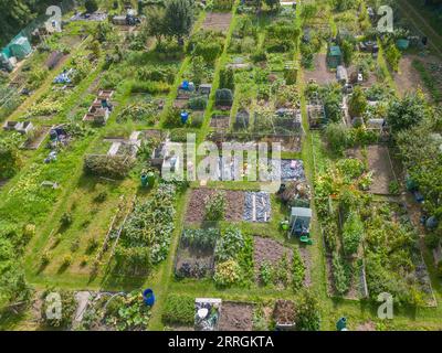 Luftaufnahme meiner Kleingärten Anfang September in Burgess Hill West sussex Stockfoto