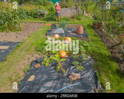 Luftaufnahme meiner Kleingärten Anfang September in Burgess Hill West sussex Stockfoto