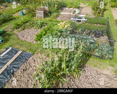 Luftaufnahme meiner Kleingärten Anfang September in Burgess Hill West sussex Stockfoto