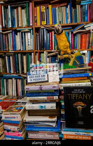 Bücherstapel im Camillas Bookshop in 57 Grove Rd, Little Chelsea, Eastbourne, East Sussex, UK in Sept Second Hand & Antiquarian Bookshop Interieur Stockfoto