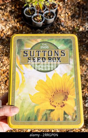 Old Suttons Seed Box Dose, Vintage Dose zur Aufbewahrung von Saatgutpackungen, UK Stockfoto