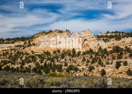 Sandsteinformationen auf dem Kaiparowits Plateau im Grand Staircase-Escalante National Monument, Utah. Stockfoto