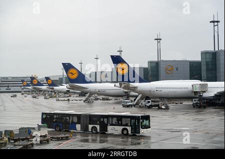 04.08.2023, Frankfurt, Hessen, Deutschland, Europa - Lufthansa Passagierflugzeuge werden an einem regnerischen Tag am Gate des Frankfurter Flughafenterminals 1 geparkt. Stockfoto