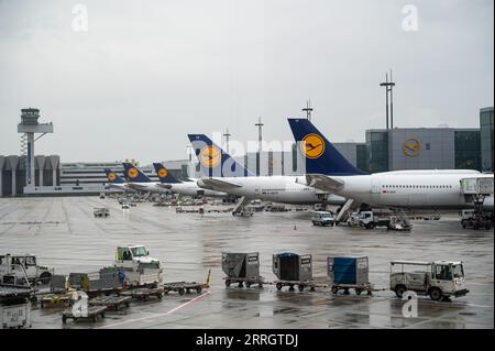 04.08.2023, Frankfurt, Hessen, Deutschland, Europa - Lufthansa Passagierflugzeuge werden am Gate des Frankfurter Flughafenterminals 1 geparkt. Lufthansa ist ein M Stockfoto