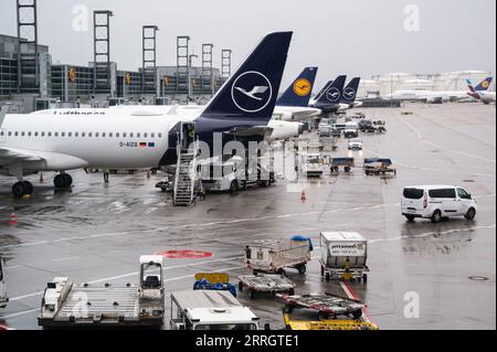 04.08.2023, Frankfurt, Hessen, Deutschland, Europa - Lufthansa Passagierflugzeuge werden an einem regnerischen Tag am Gate des Frankfurter Flughafenterminals 1 geparkt. Stockfoto