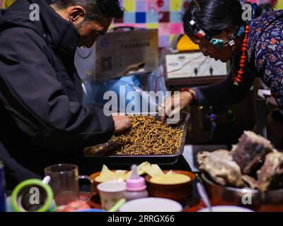 220531 -- NAGQU, 31. Mai 2022 -- Dorfbewohner arrangieren neu geerntete raupenpilze in Lainqu Township, Biru County of Nagqu, südwestchinesische Autonome Region Tibet, 25. Mai 2022. In der Prärie von über 4.700 Metern über dem Meeresspiegel im Biru County jagen Hirten zur Erntezeit raupenpilze. Biru County ist ein wichtiger Standort für die Gewinnung von raupenpilz, einem teuren Inhaltsstoff in der traditionellen chinesischen Medizin. Der Pilz, der in China als Winterwurm-Sommergras bekannt ist, wird nur in großen Höhen gefunden und soll das Immunsystem stärken. Der raupenpilz Stockfoto