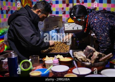 220531 -- NAGQU, 31. Mai 2022 -- Dorfbewohner arrangieren neu geerntete raupenpilze in Lainqu Township, Biru County of Nagqu, südwestchinesische Autonome Region Tibet, 25. Mai 2022. In der Prärie von über 4.700 Metern über dem Meeresspiegel im Biru County jagen Hirten zur Erntezeit raupenpilze. Biru County ist ein wichtiger Standort für die Gewinnung von raupenpilz, einem teuren Inhaltsstoff in der traditionellen chinesischen Medizin. Der Pilz, der in China als Winterwurm-Sommergras bekannt ist, wird nur in großen Höhen gefunden und soll das Immunsystem stärken. Der raupenpilz Stockfoto