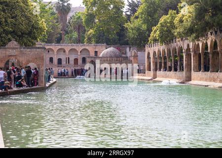 Sanliurfa, Türkei - 19. Juni 2023 : Balıklıgöl (Balık-See) und Rizvaniye-Moschee in wunderschöner Sonnenuntergangslandschaft in Şanlıurfa, Türkei. Stockfoto