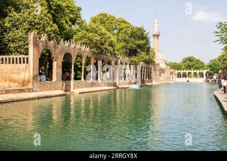 Sanliurfa, Türkei - 19. Juni 2023 : Balıklıgöl (Balık-See) und Rizvaniye-Moschee in wunderschöner Sonnenuntergangslandschaft in Şanlıurfa, Türkei. Stockfoto