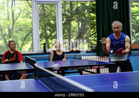 (230908) -- PEKING, 8. September 2023 (Xinhua) -- Bürger spielen Tischtennis im Ditan Gymnasium, das der Sportort für Gewichtheben bei den Peking 1990 Asiatischen Spielen in Peking, Hauptstadt von China, 18. August 2023 war. Hangzhou wird die dritte Stadt in China, die nach Peking 1990 und Guangzhou 2010 die Asienspiele ausrichtet. Einige Sportstätten, die für die Asienspiele in Peking und Guangzhou genutzt oder gebaut wurden, waren bereits nach ihrer Fertigstellung für die Öffentlichkeit zugänglich, was eine wichtige Rolle bei der Förderung der Massentätigkeit und der Anziehung von mehr Menschen zum Sport spielt. (Xinhua/Chen Zhonghao) Stockfoto