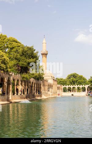 Sanliurfa, Türkei - 19. Juni 2023 : Balıklıgöl (Balık-See) und Rizvaniye-Moschee in wunderschöner Sonnenuntergangslandschaft in Şanlıurfa, Türkei. Stockfoto