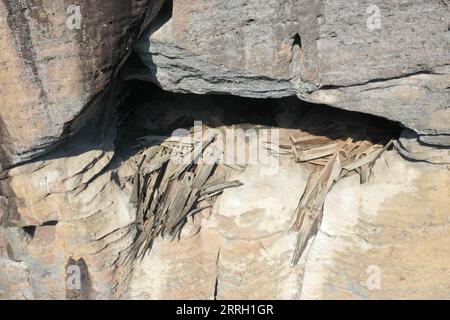 220608 -- WUYISHAN, 8. Juni 2022 -- Luftaufnahme, aufgenommen am 6. Juni 2022, zeigt das alte Relikt eines Steinhauses mit hölzernen Bootssärgen des Mount Wuyi in der südöstlichen chinesischen Provinz Fujian. Der Mount Wuyi in der südöstlichen Provinz Fujian in China ist eine Landschaft von großer Schönheit, in der die Gipfel und Felsen grotesker Formen von klaren Bächen umrahmt und von grünen Bäumen und Bambuspflanzen umgeben sind. Als Lebensraum für eine große Anzahl von Wildtieren ist er von enormer Bedeutung für die Erhaltung der biologischen Vielfalt. Es gibt eine Reihe von außergewöhnlichen archäologischen Stätten am Mount Wuyi, darunter t Stockfoto