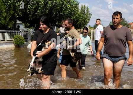 Karditsa, Griechenland. September 2023. Die Evakuierten tragen ihre Hunde durch das Hochwasser des überfluteten Dorfes Palamas in der Nähe der Stadt Karditsa in Zentralgriechenland. Die Zahl der Todesopfer durch die Überschwemmungen in Zentralgriechenland, die durch sintflutartige Regenfälle verursacht wurden, ist weiter gestiegen. Quelle: Yorgos Karahalis/dpa/Alamy Live News Stockfoto