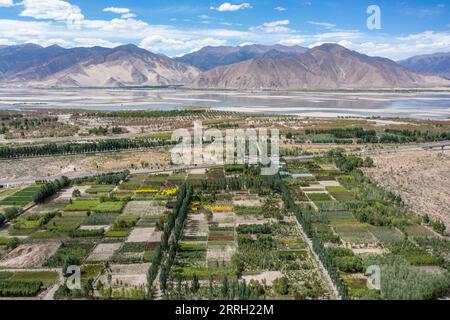 220606 -- LHASA, 6. Juni 2022 -- Luftaufnahme aufgenommen am 27. Mai 2022 zeigt die Gärtnerei von Penjig im Zhanang County, der Stadt Shannan im Südwesten Chinas, der Autonomen Region Tibet. Der mittlere Teil des Flusses Yarlung Zangbo, einst ein karges Land mit Sandstürmen, die im Frühjahr und Winter wüten, sieht jetzt ein Meer von grünen Bäumen überall auf dem Ort. In den letzten vier Jahrzehnten wurden in Shannan, einem Gebiet, durch das der Yarlung Zangbo River fließt, mehr als 45 Millionen Bäume gepflanzt. Im Jahr 1967 schloss Li Chunlu eine landwirtschaftliche Schule ab Stockfoto