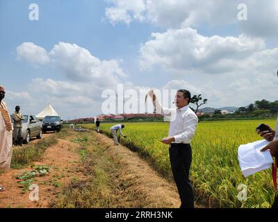 220611 -- ABUJA, 11. Juni 2022 -- der chinesische Landwirtschaftsexperte Wang Xuemin zeigt reifes Reisohr auf einer Demonstrationsfarm, die von einem chinesischen Unternehmen in Abuja, Nigeria, am 2. Juni 2022 betrieben wird. ZUM Feature: Die Zusammenarbeit zwischen China und Nigeria im Bereich der Landwirtschaft zielt auf eine bessere Nahrungsmittelproduktion ab NIGERIA-ABUJA-CHINA-LANDWIRTSCHAFTLICHE ZUSAMMENARBEIT GuoxJun PUBLICATIONxNOTxINxCHN Stockfoto