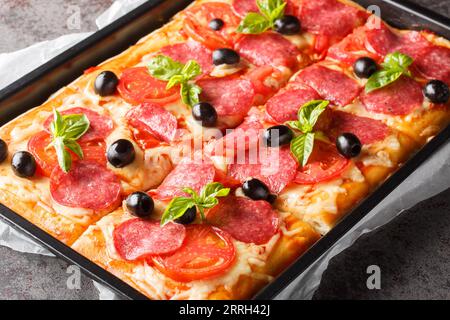 Frisch gebackene rechteckige Pizza mit Käse, Salami, Oliven und Tomaten aus nächster Nähe in einem Backblech auf dem Tisch. Horizontal Stockfoto