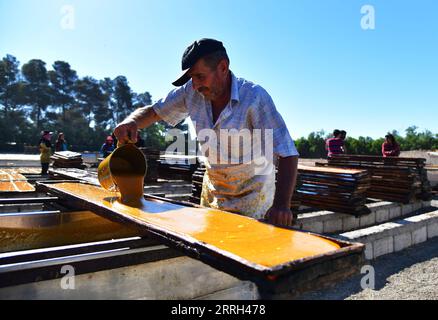 220612 -- DAMASKUS, 12. Juni 2022 -- Ein Landwirt lässt Aprikosensaft aus, um Aprikosenpaste herzustellen, ein berühmtes Produkt in Syrien, auf einem Bauernhof in Damaskus, Syrien, 11. Juni 2022. Foto von /Xinhua SYRIA-DAMASCUS-APRICOT-PASTE AmmarxSafarjalani PUBLICATIONxNOTxINxCHN Stockfoto